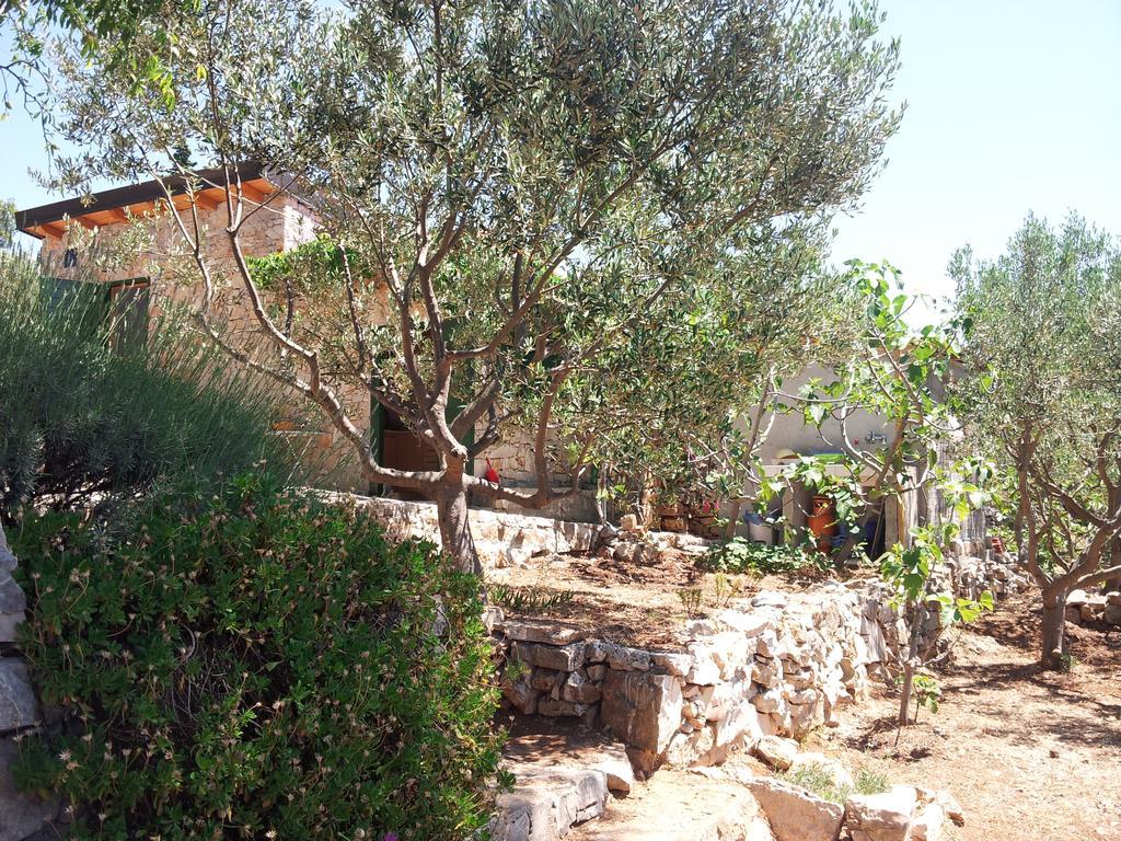 فيلا Robinson House Kata ميلنا المظهر الخارجي الصورة
